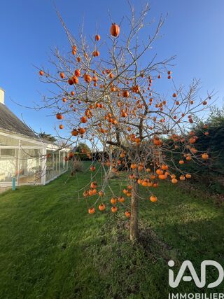  Maison � vendre 5 pi�ces 126 m�