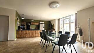  Maison � vendre 7 pi�ces 251 m�