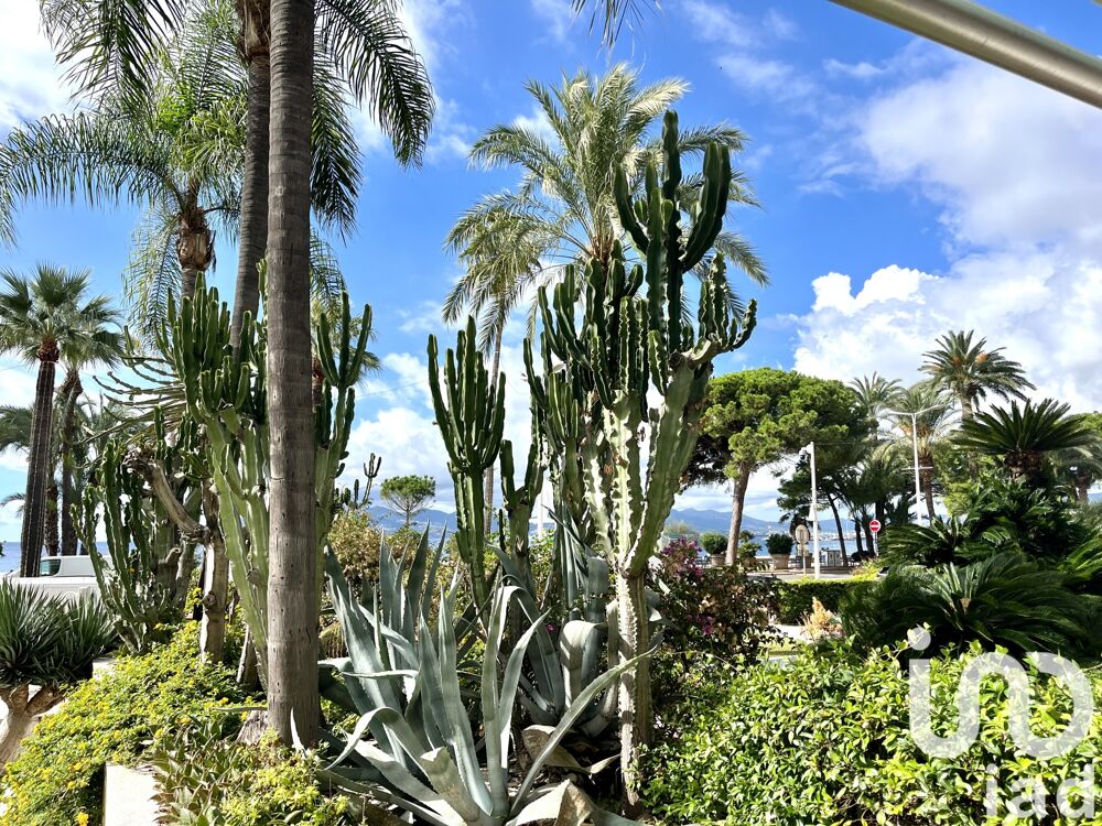  vendre  Appartement Cannes (06400)