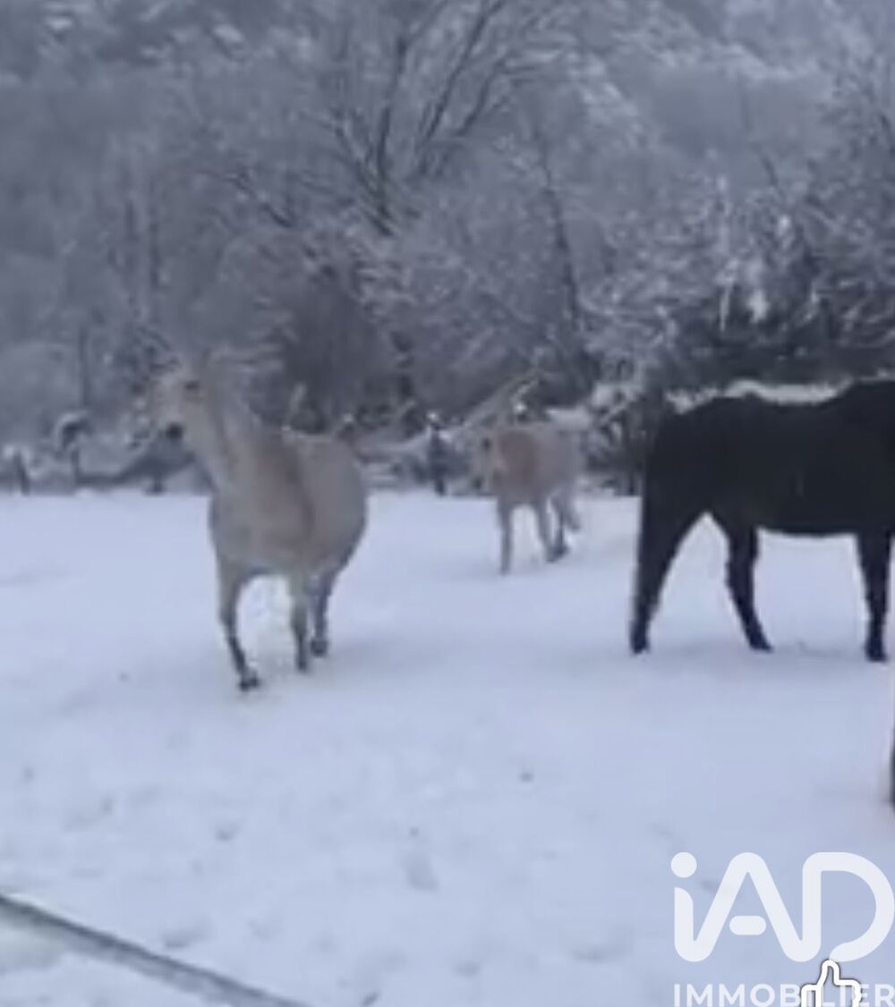 � vendre  Maison Entrevaux (04320)