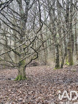  Terrain � vendre 405918 m�