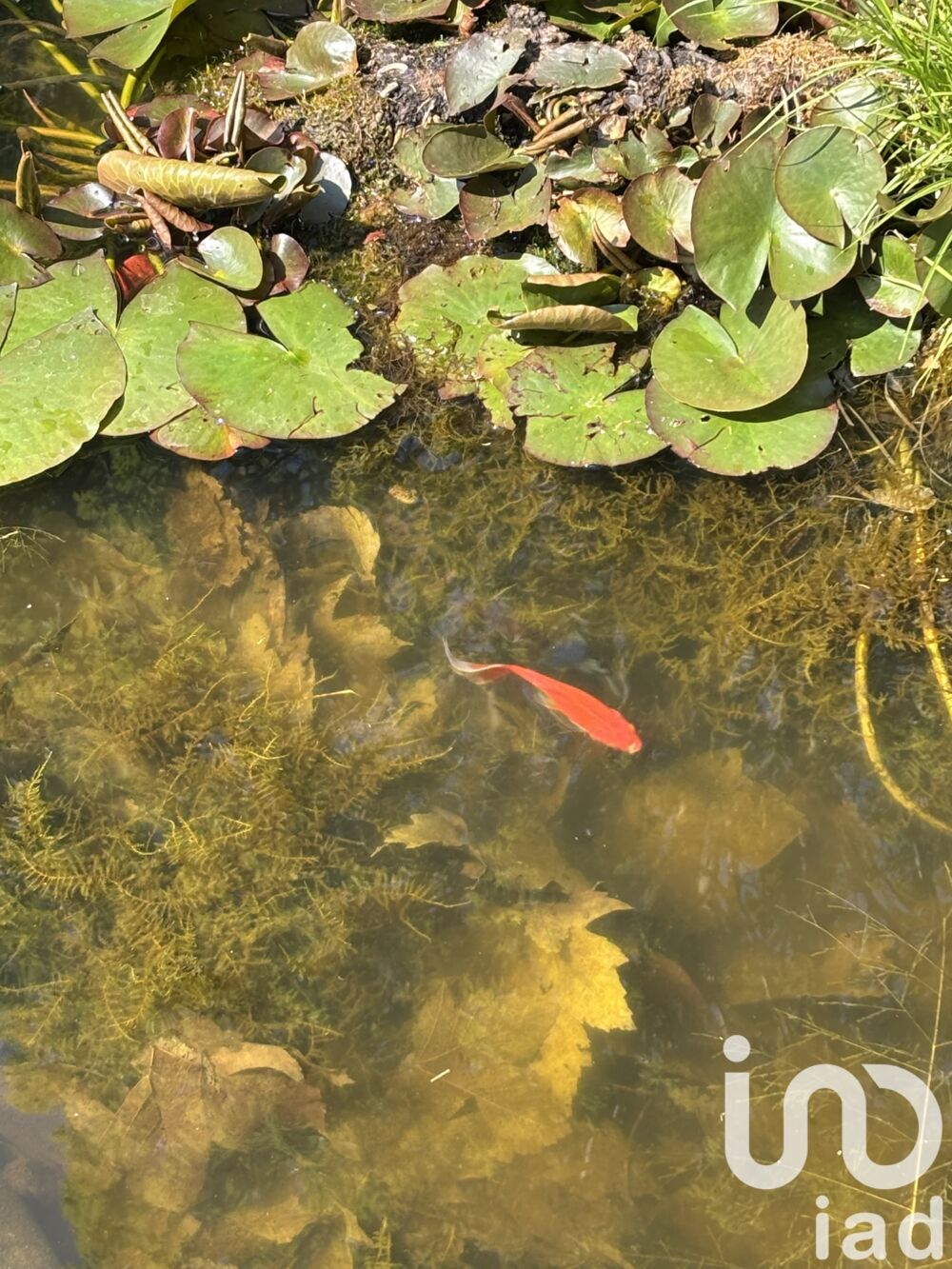 � vendre  Maison Saint-Leu-d'Esserent (60340)