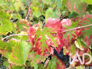  Terrain � vendre 770 m�