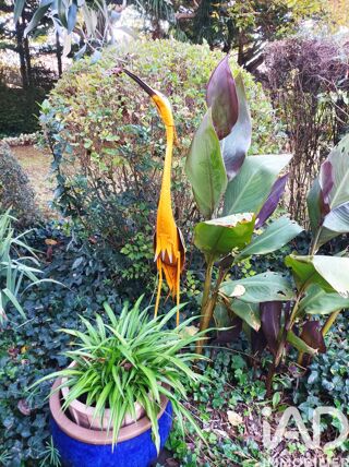  Maison � vendre 8 pi�ces 220 m�