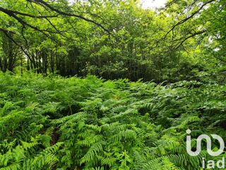  Terrain  vendre 6275 m