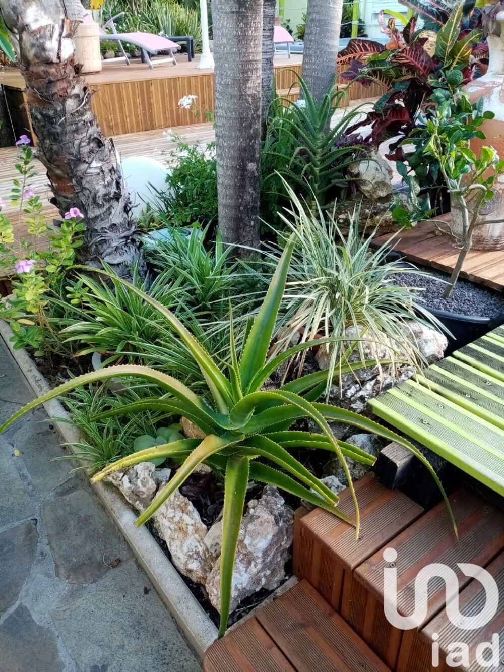 � vendre  Maison Sainte-Anne (97180)