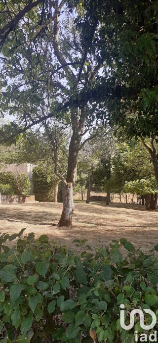  Terrain  vendre 979 m