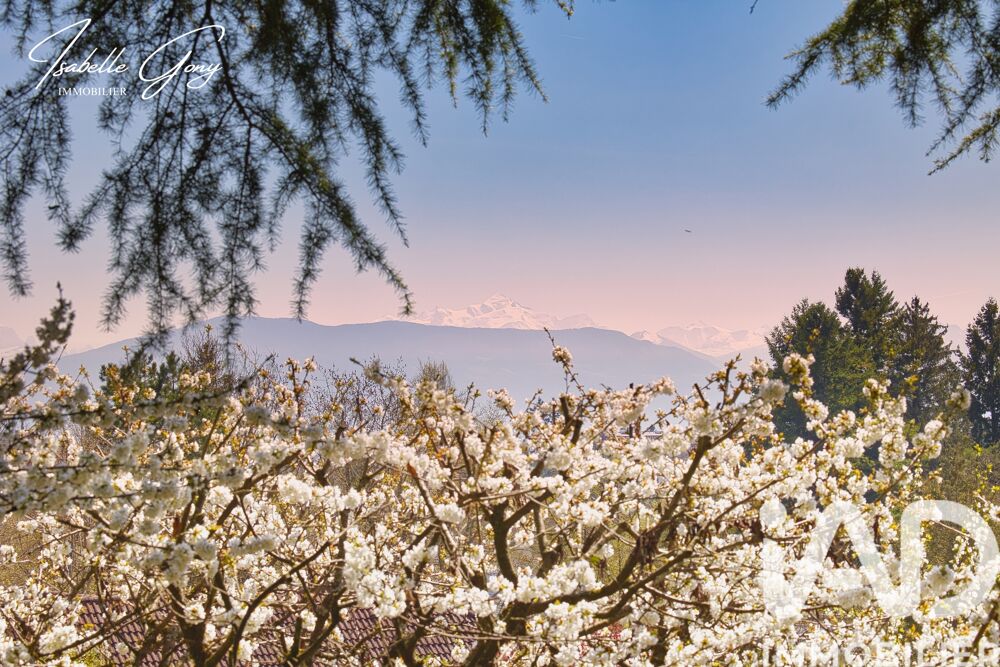  vendre  Maison Divonne-les-Bains (01220)