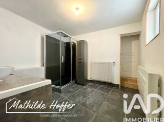  Maison � vendre 8 pi�ces 230 m�