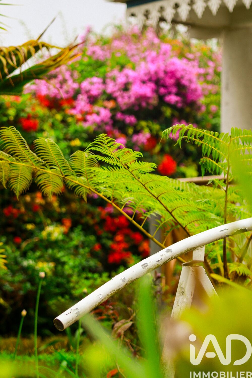 � vendre  Maison Saint-Gilles les Hauts (97435)