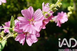  Maison � vendre 9 pi�ces 220 m�