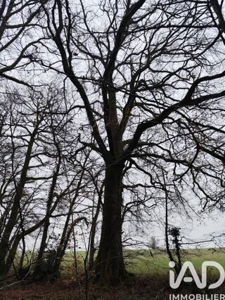  Terrain � vendre 29105 m�