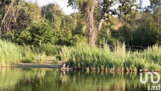  Maison � vendre 15 + pi�ces 736 m�