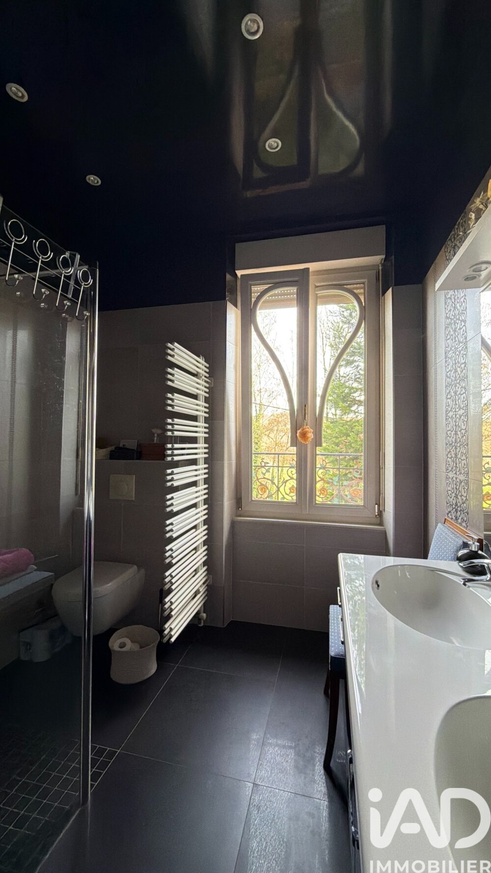 � vendre  Propri�t�/ch�teau Joinville (52300)