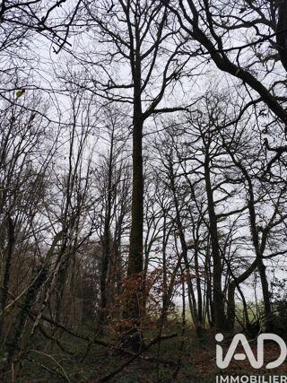  Terrain � vendre 29105 m�