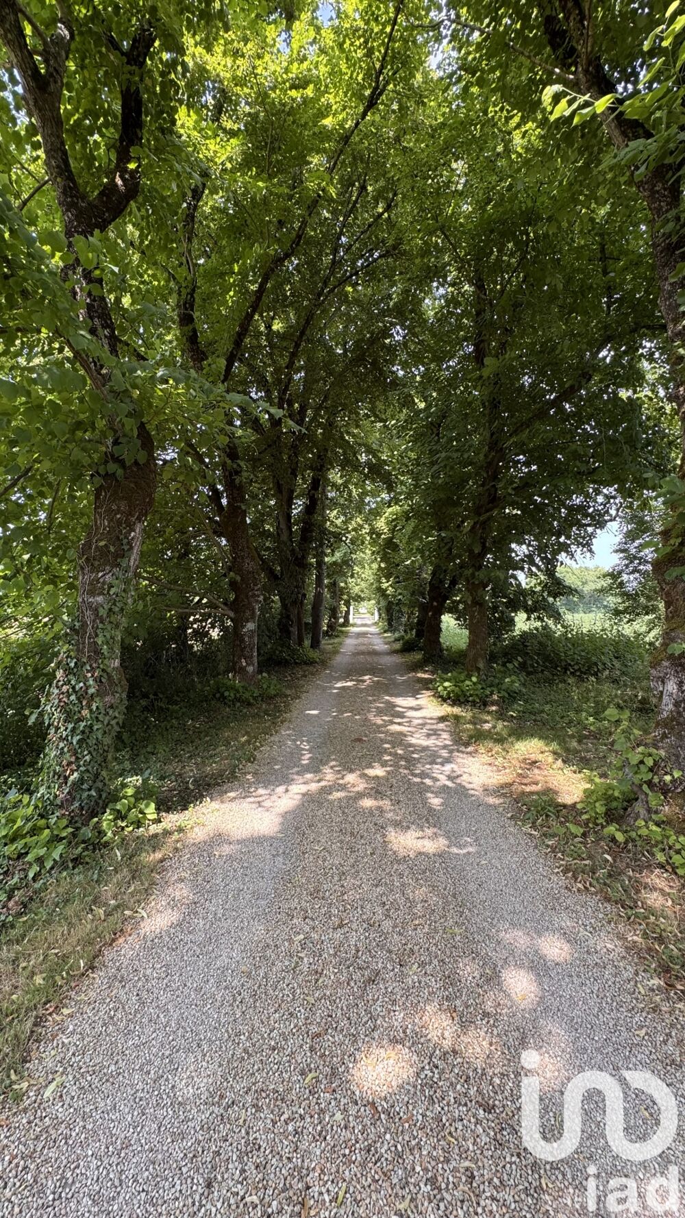 Vente Maison Vente Maison/villa 20 pi�ces Anais