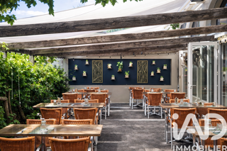  Maison � vendre 15 + pi�ces 480 m�