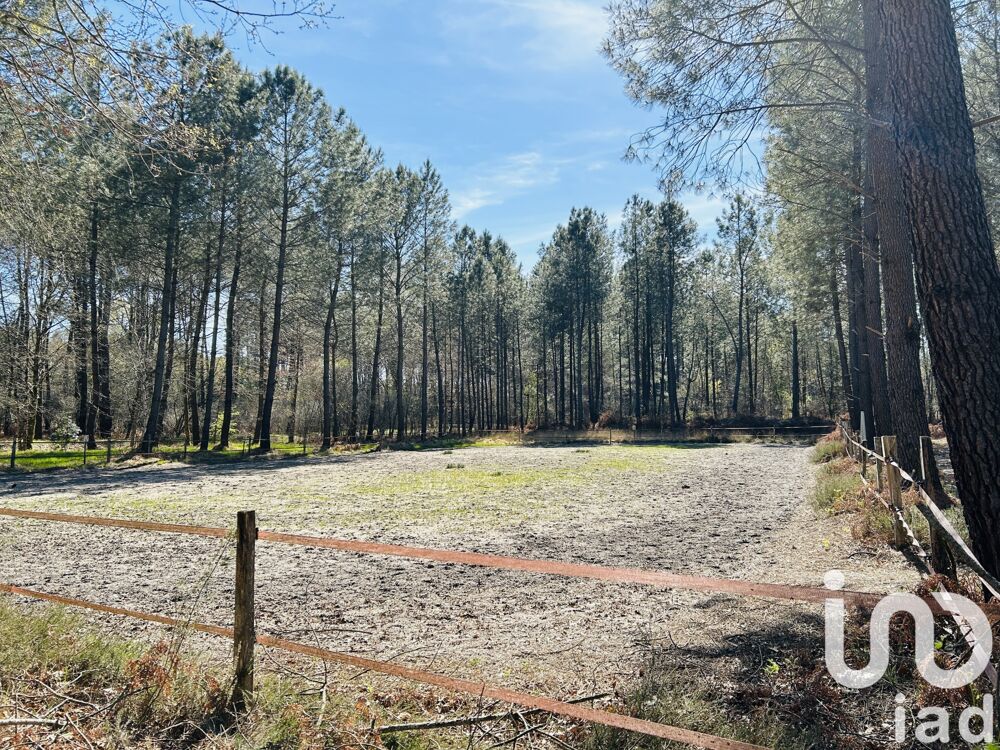  vendre  Maison Le Barp (33114)