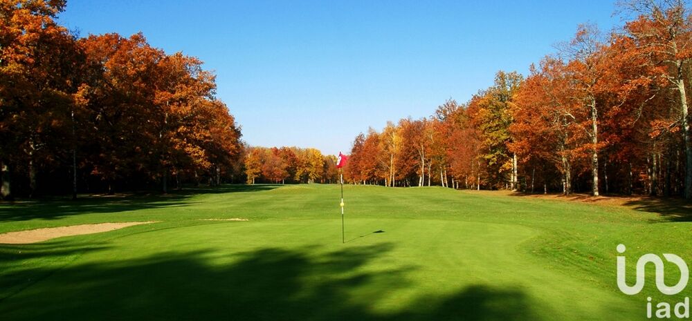  vendre  Maison Savigny-sur-Clairis (89150)