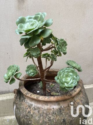  Terrain � vendre 1036 m�