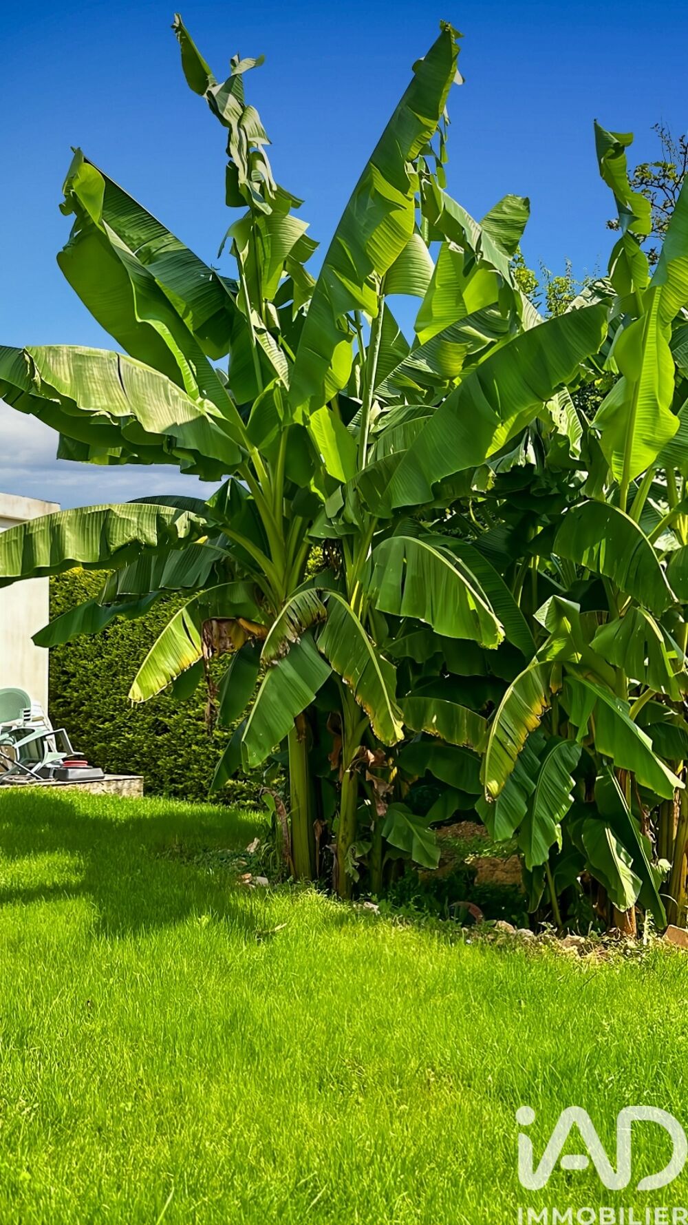 � vendre  Maison Santeny (94440)