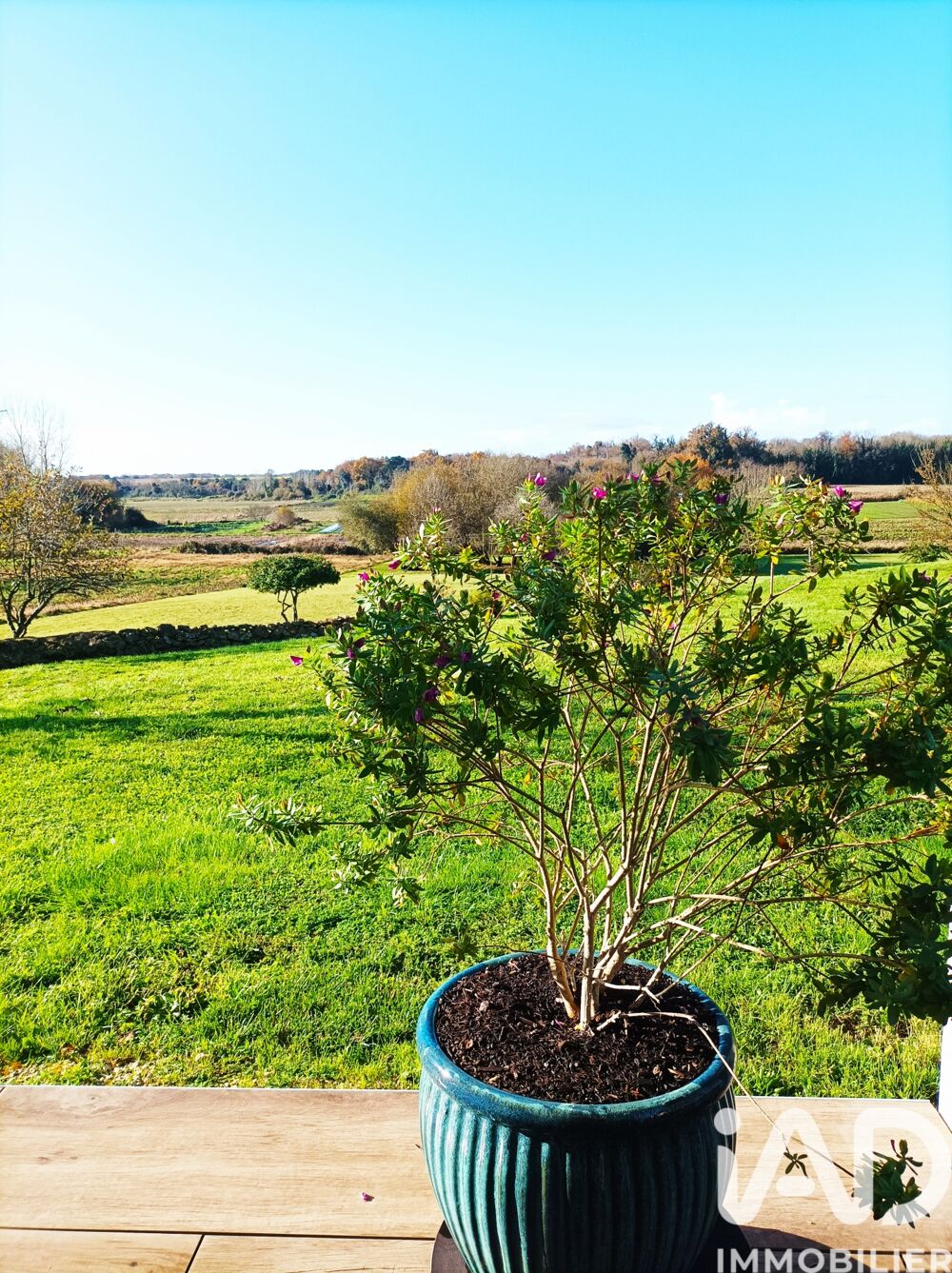 � vendre  Villa Soulignonne (17250)