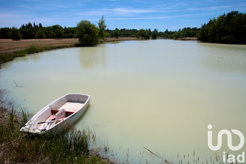  vendre  Maison Salbris (41300)
