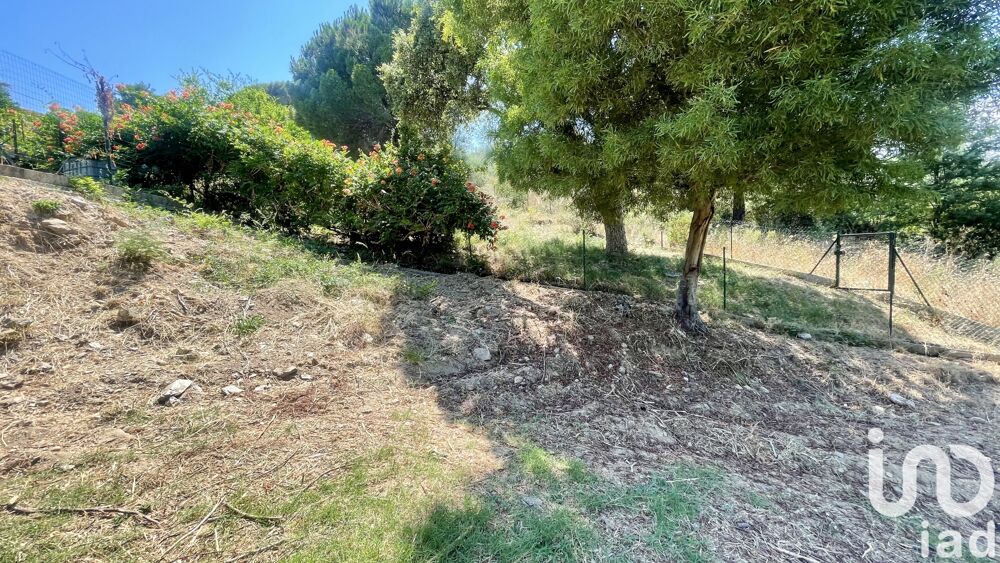   Bormes-les-mimosas