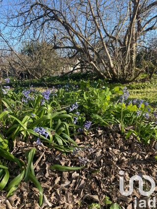  Terrain  vendre 430 m