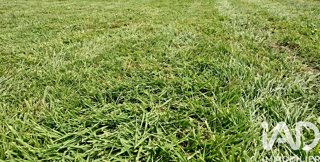  Terrain � vendre 1000 m�