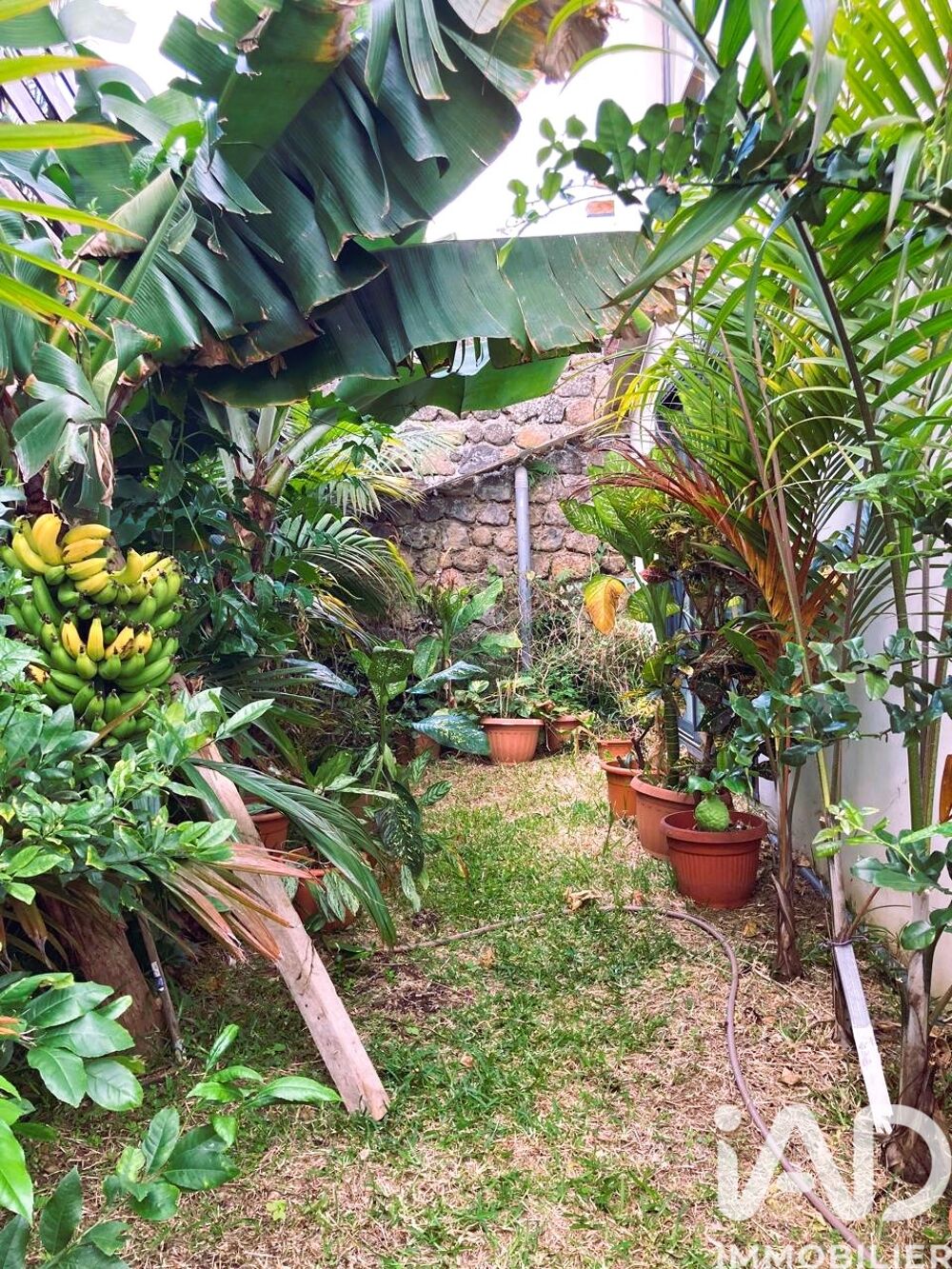 � vendre  Maison Saint-Pierre (97410)