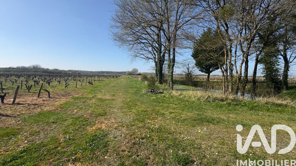 � vendre  Propri�t�/ch�teau Monni�res (44690)