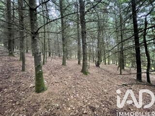  Terrain � vendre 121370 m�