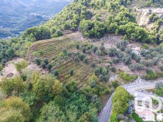  Terrain � vendre 8030 m�