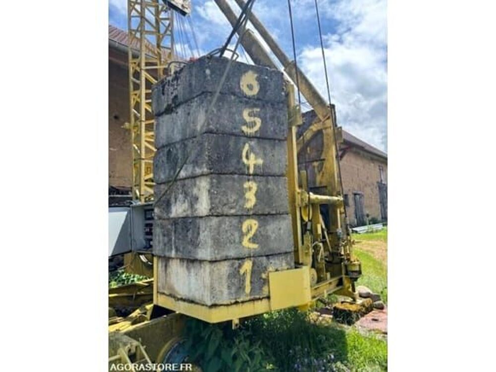 Grue  occasion 93100 Belmont-Tramonet