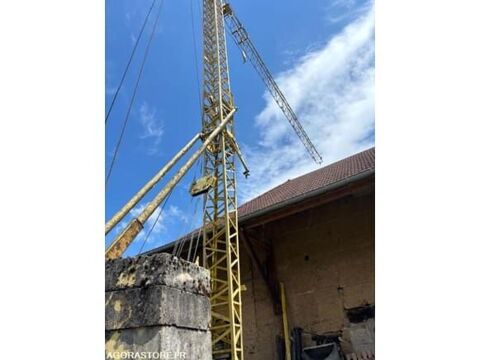 Grue  occasion 93100 Belmont-Tramonet