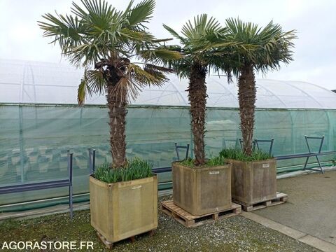 Mat&eacute;riel Agricole / Viticole Mat&eacute;riel Agricole / Viticole  occasion Saint-Quay-Portrieux 93100