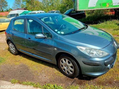307 VF33CNFUL84626780 2006 occasion 93100 Saint-Germain-Du-Bois