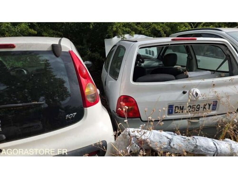 Twingo VF1C06GN533024563 occasion 93100 Aix-En-Provence