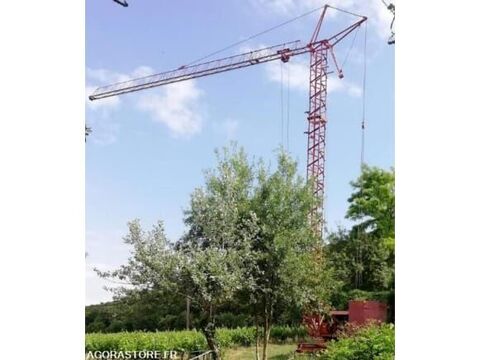 Grue  occasion 93100 Tornac