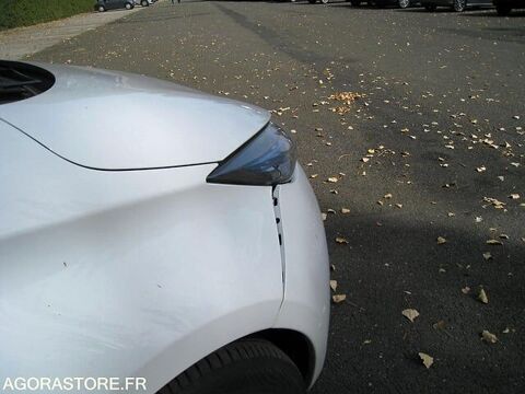 Zo&eacute; VF1AGVYF059895034 occasion 93100 Trappes
