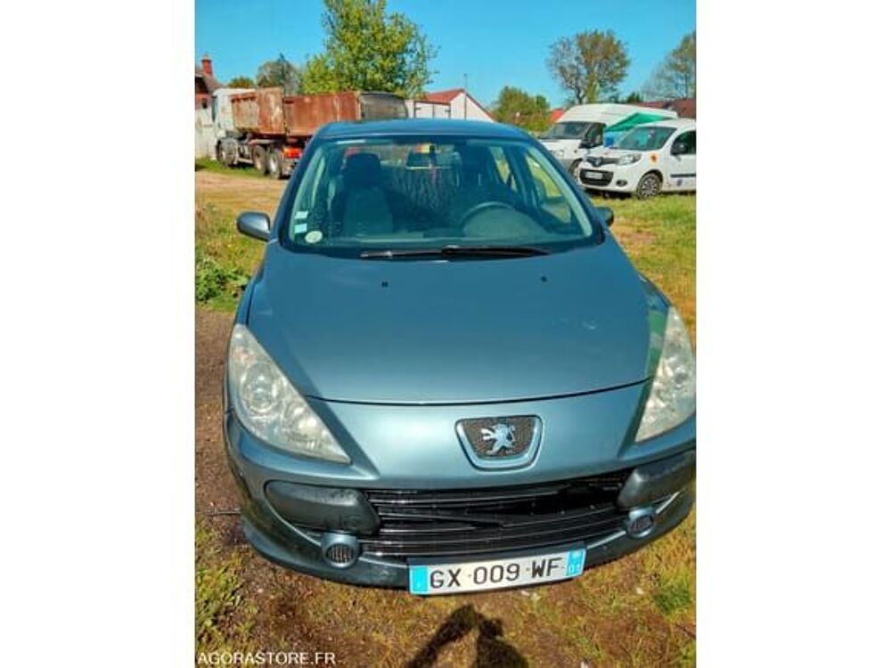 307 VF33CNFUL84626780 occasion 93100 Saint-Germain-Du-Bois