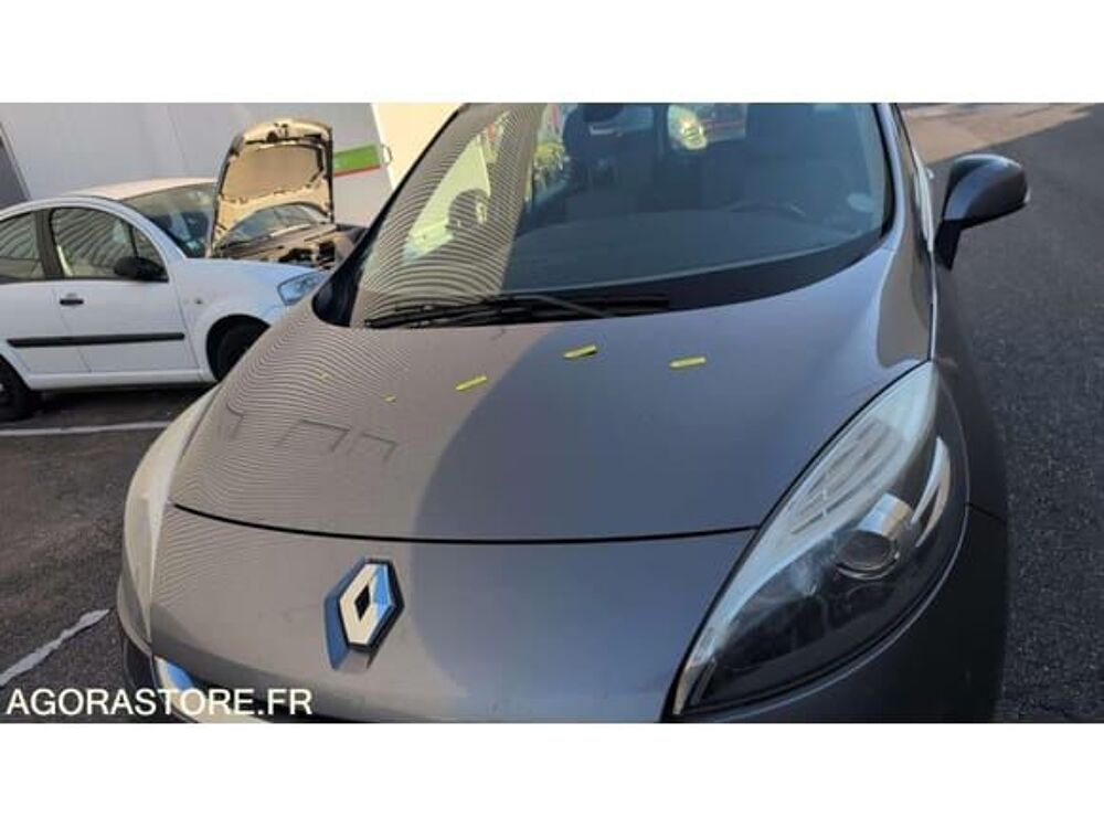 M&eacute;gane VF1JZ1GB246757255 occasion 93100 Strasbourg