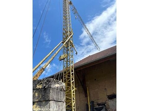 Grue  occasion 93100 Belmont-Tramonet