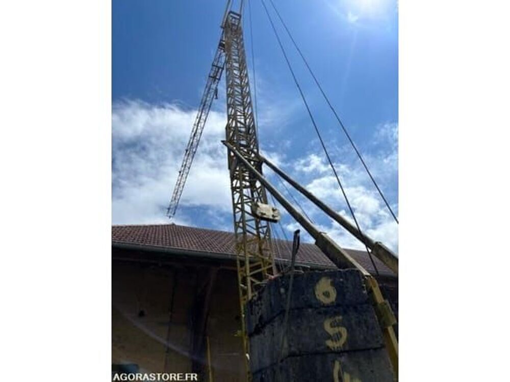 Grue  occasion 93100 Belmont-Tramonet