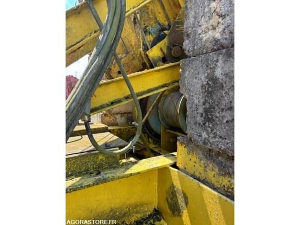 Grue  occasion 93100 Belmont-Tramonet