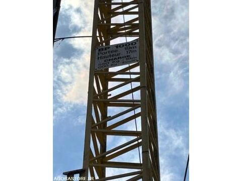 Grue  occasion 93100 Belmont-Tramonet