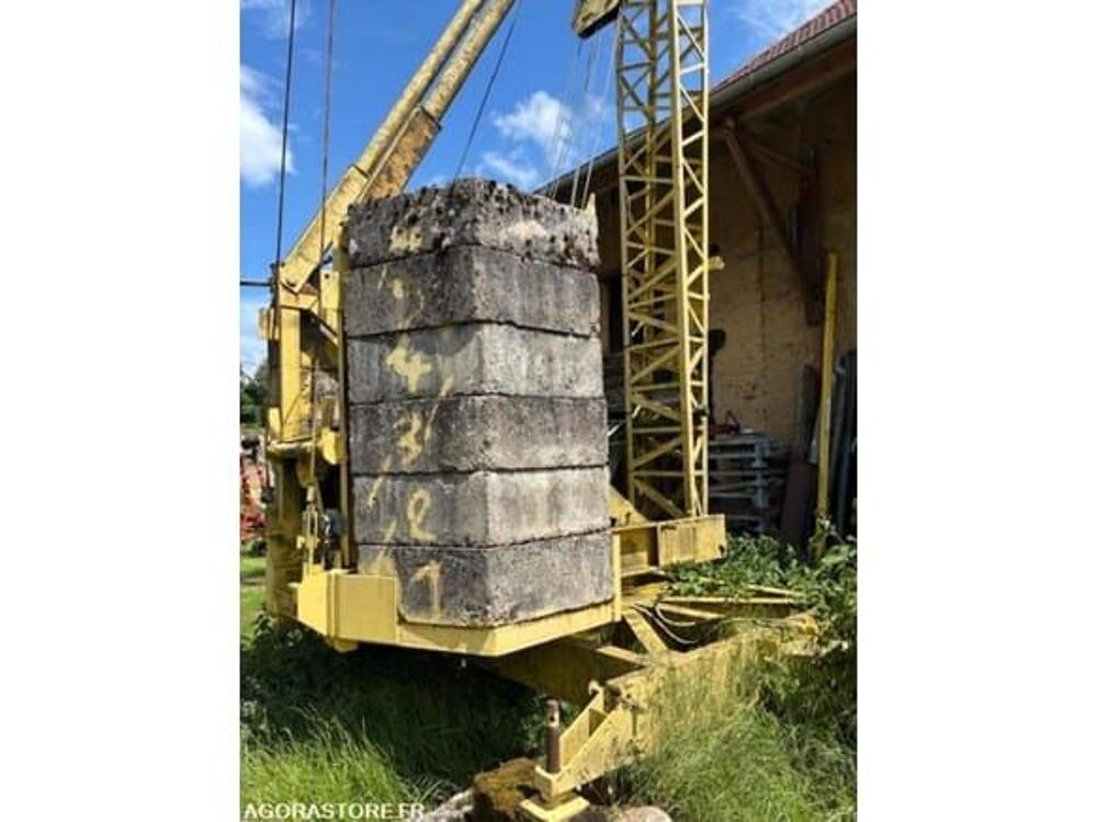 Grue  occasion 93100 Belmont-Tramonet