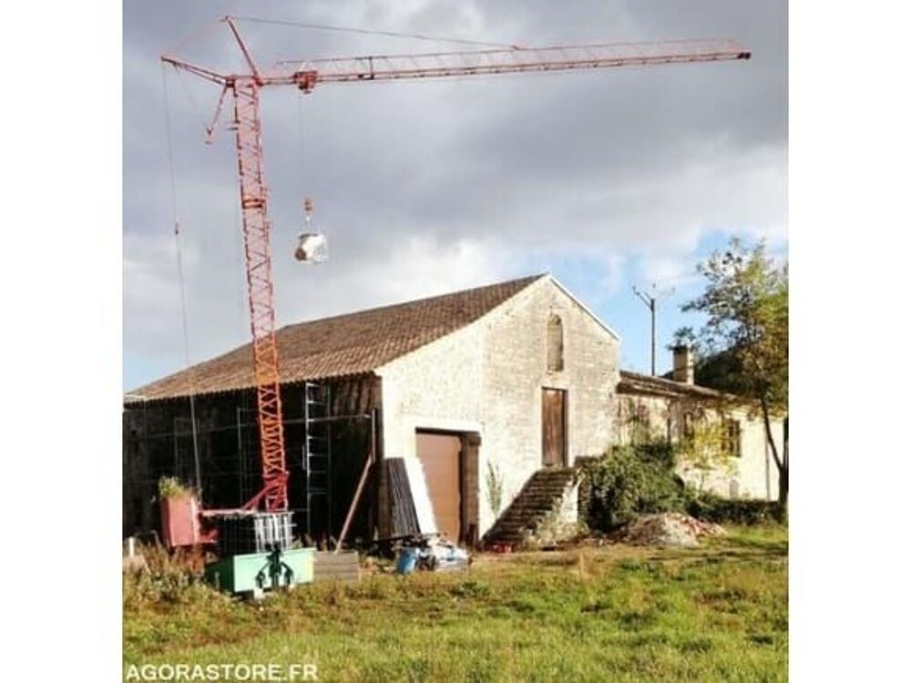 Grue  occasion 93100 Tornac