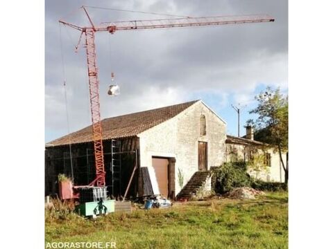 Annonce voiture Engin de Chantier / BTP Grue 3300 €